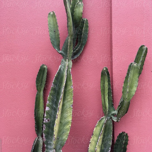 WELCOME! - Picture 2 of 2